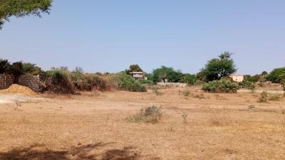 Terrains 300 mètres carrés à vendre à Malicoun
