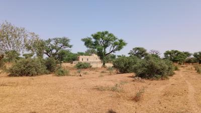 Terrains 300 mètres carrés à vendre à Malicoun