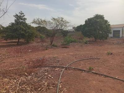 Verger de 1,40 hectare vers Fandéne – Thiès