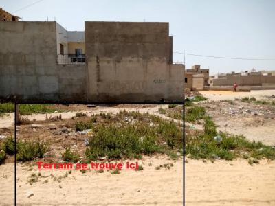 Vente Terrain 150 m² à Amadou Dia – Keur Massa