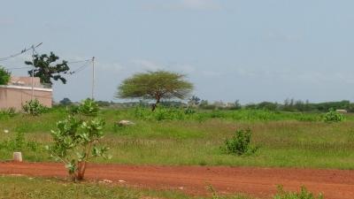 Terrain 300 mètres carrés à vendre à Saly Sén