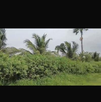 Champ de 1 hectare à vendre à Ndianda senegal