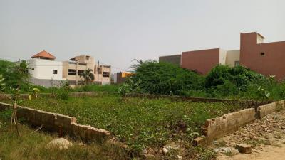 Terrain 300 mètres carrés à vendre à Saly Sénégal